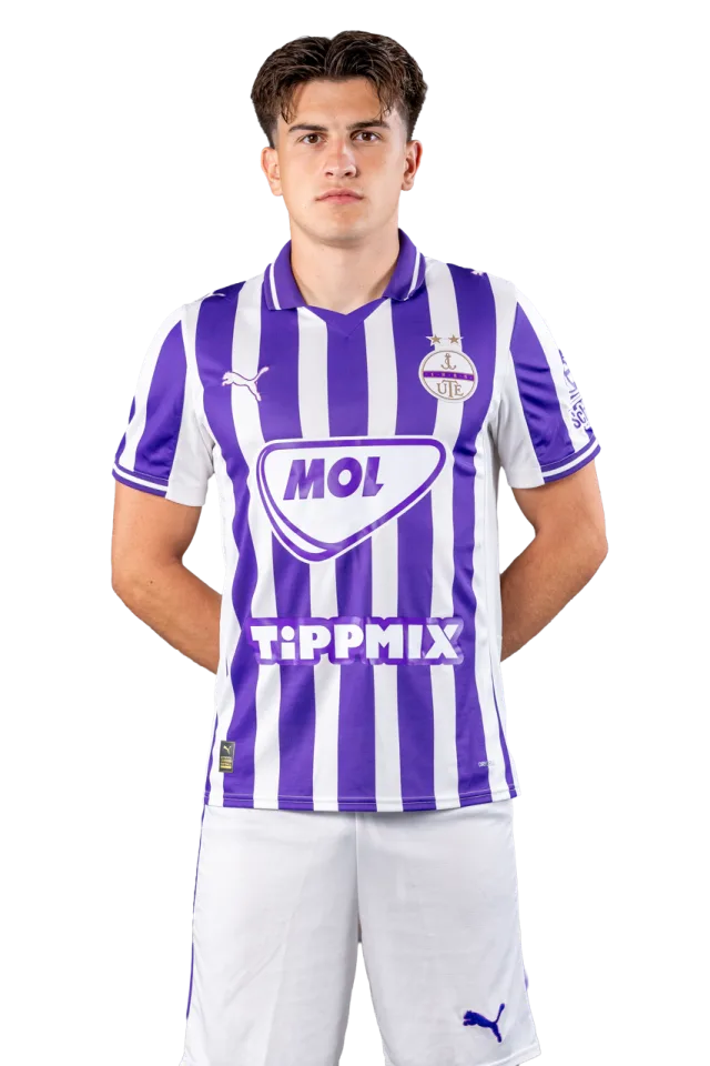 Mucsányi Miron portré